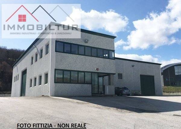 immagine annuncio 5 di 7