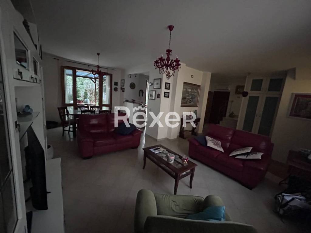 immagine annuncio 2 di 14