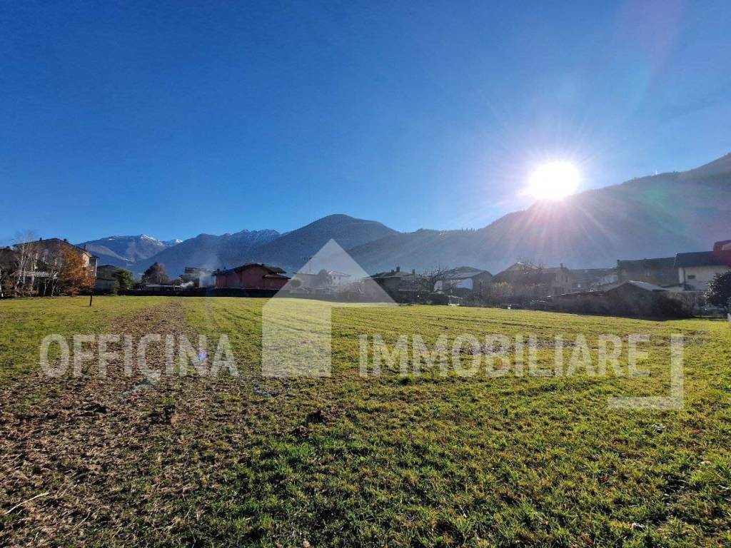 immagine annuncio 3 di 8