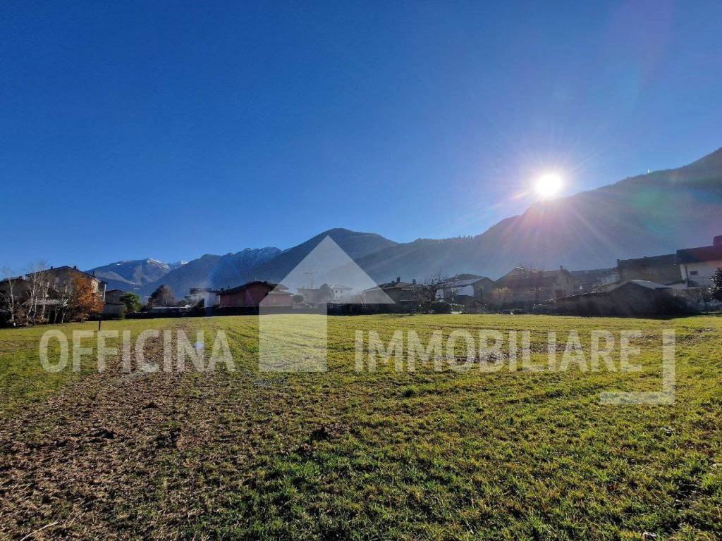 immagine annuncio 4 di 8