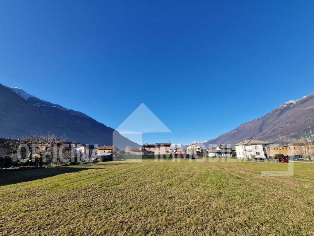 immagine annuncio 5 di 8