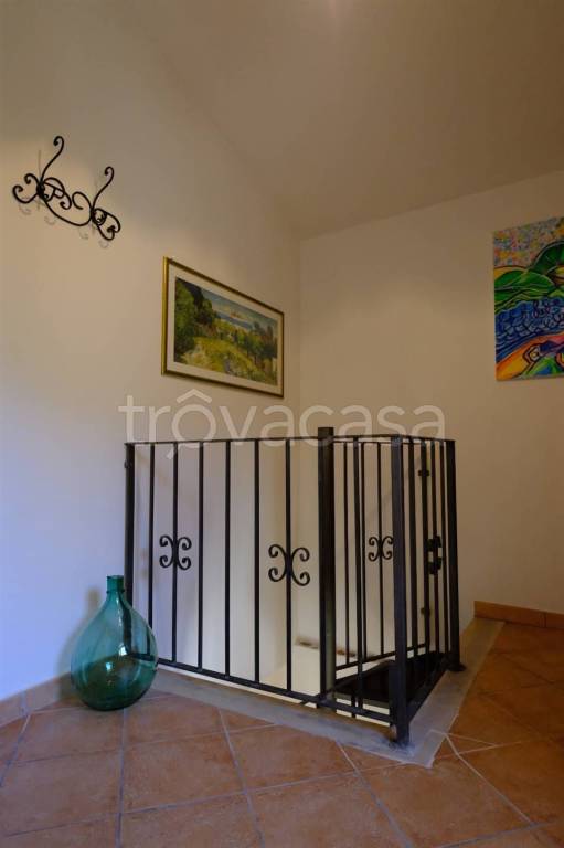 immagine annuncio 7 di 14