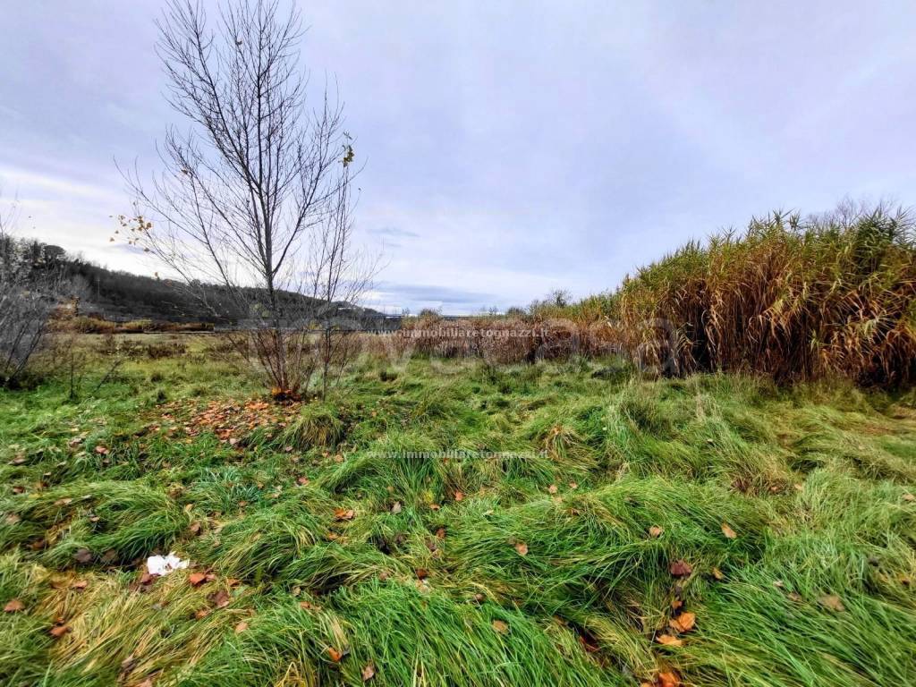 immagine annuncio 4 di 7