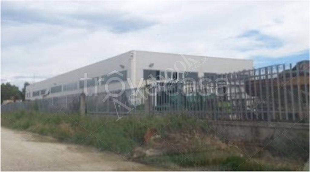 immagine annuncio 2 di 8