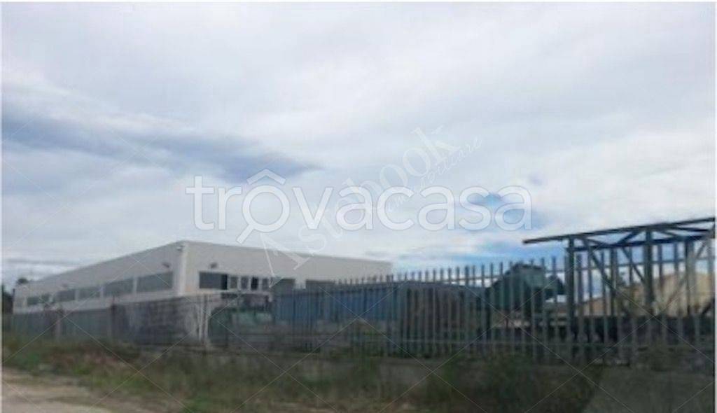 immagine annuncio 3 di 8