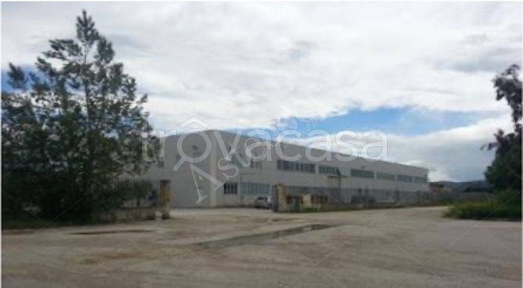 immagine annuncio 4 di 8