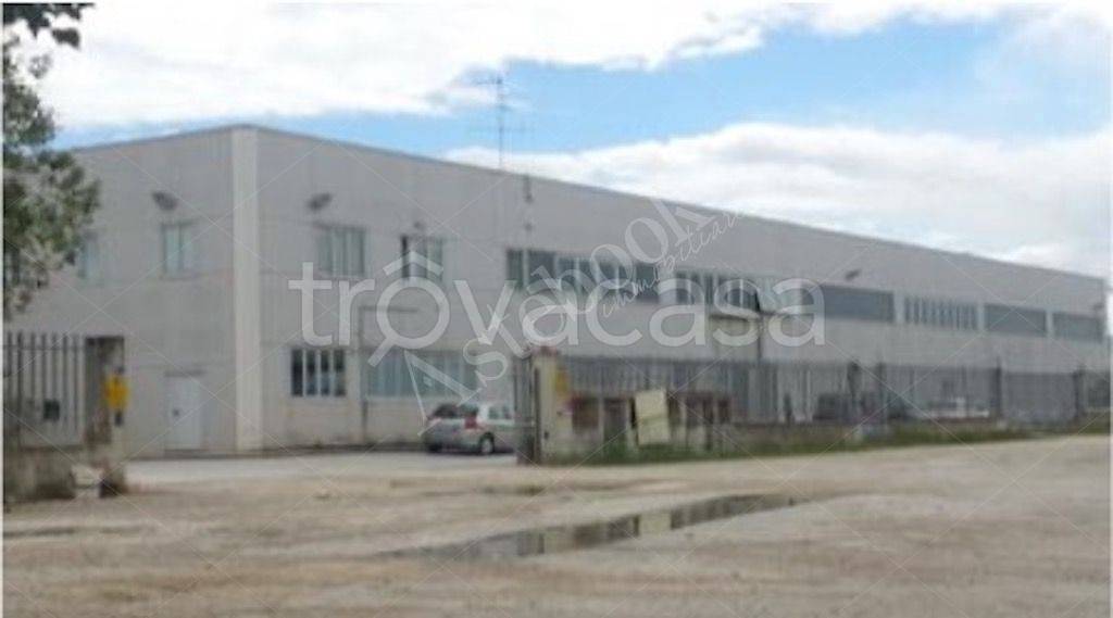 immagine annuncio 5 di 8