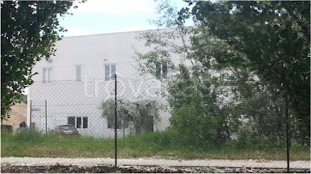 immagine annuncio 6 di 8