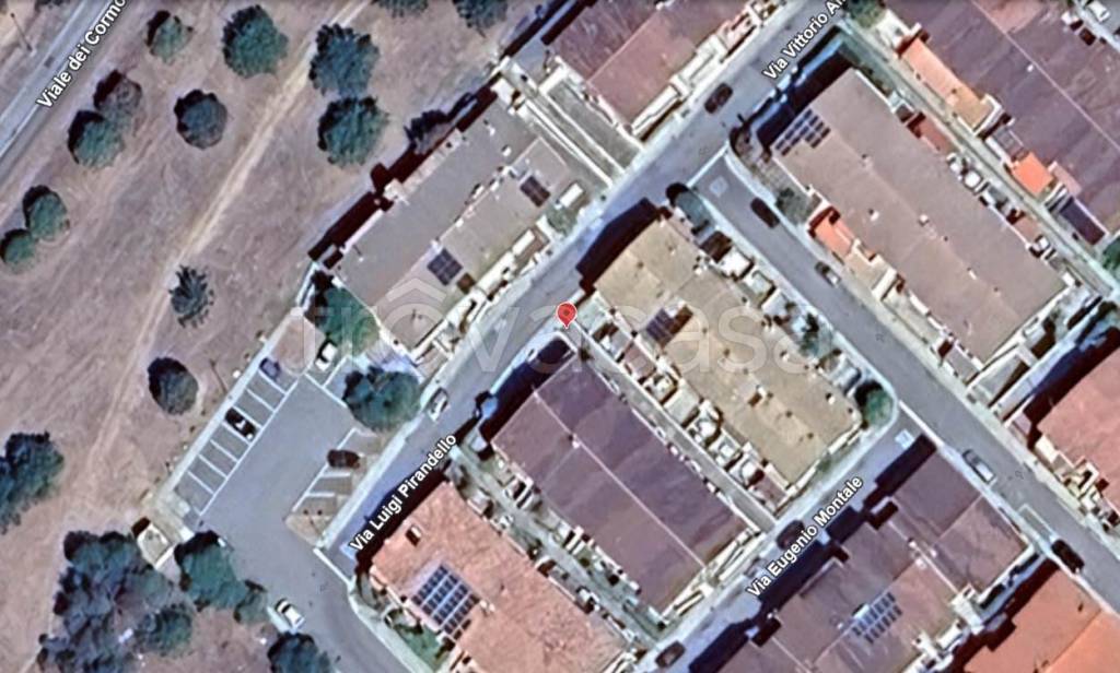 immagine annuncio 1 di 14