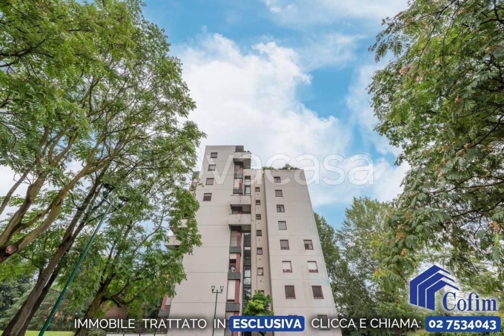 immagine annuncio 13 di 14