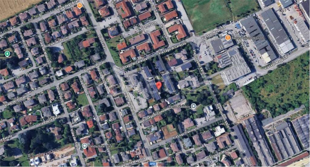 immagine annuncio 9 di 15