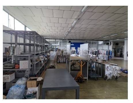 immagine annuncio 7 di 14