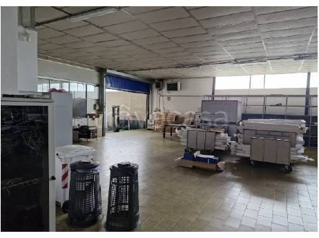 immagine annuncio 8 di 14