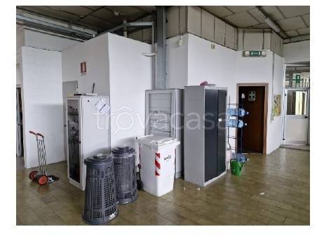 immagine annuncio 9 di 14