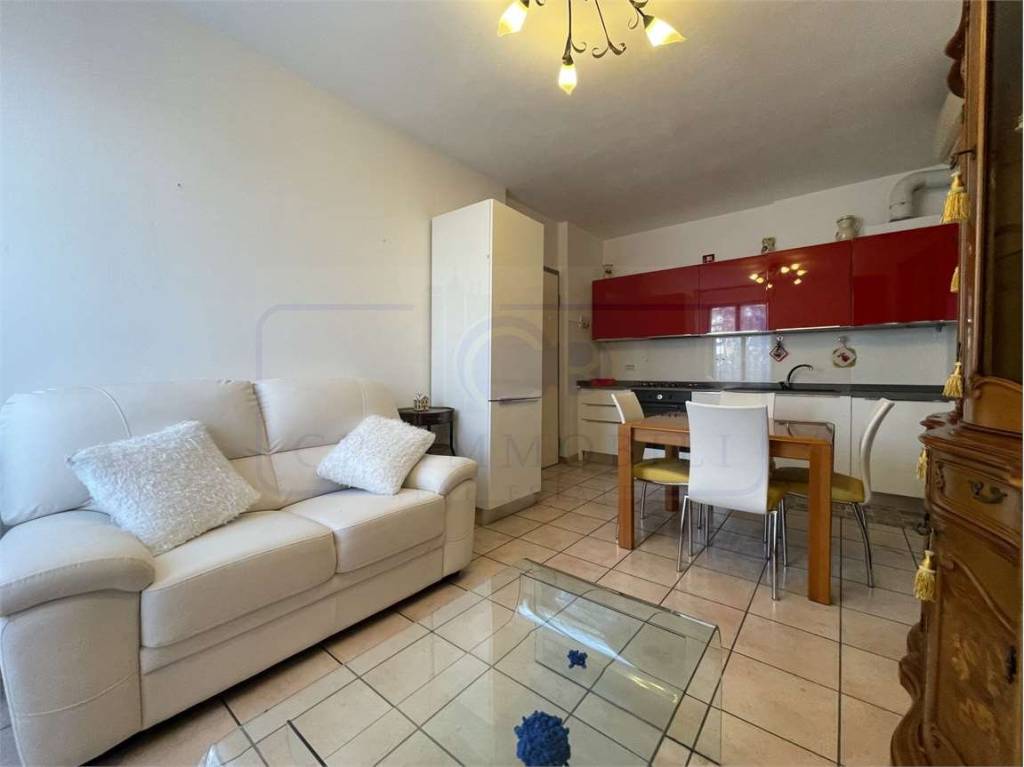 immagine annuncio 5 di 15