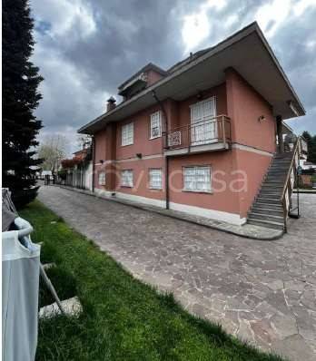 immagine annuncio 4 di 14