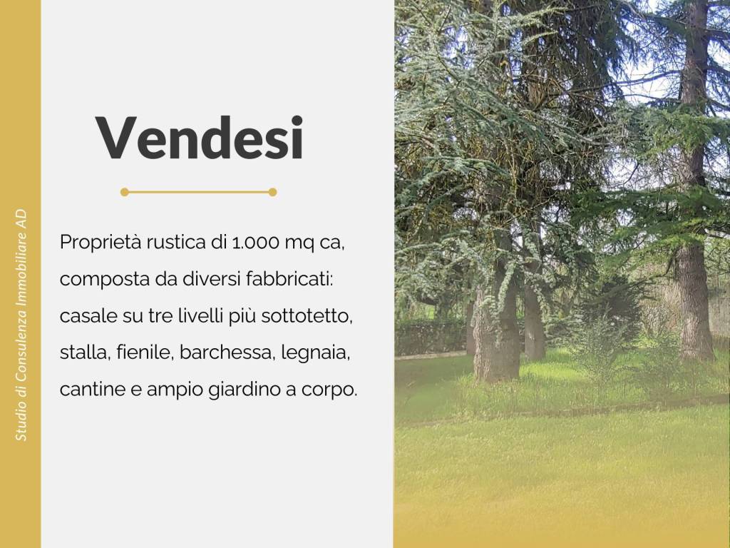 immagine annuncio 2 di 8