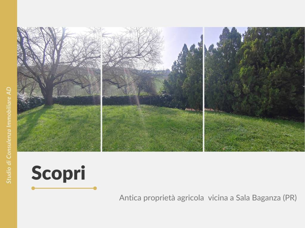 immagine annuncio 5 di 8