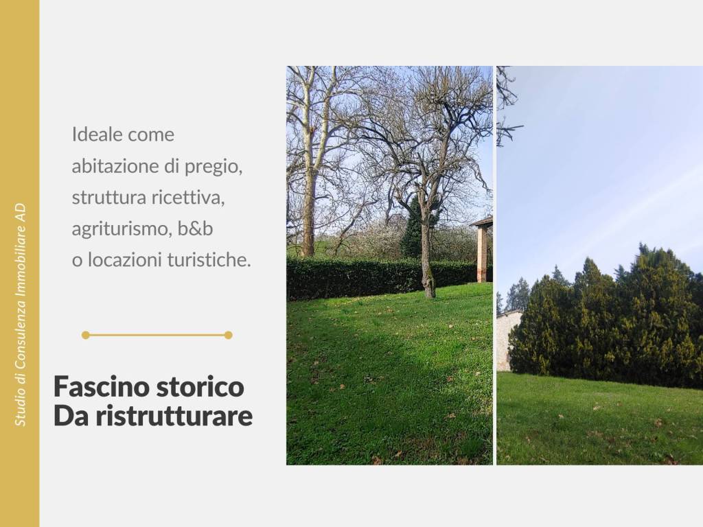 immagine annuncio 6 di 8