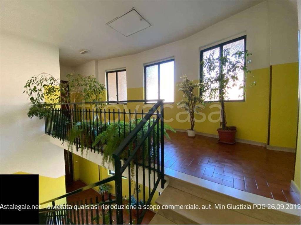 immagine annuncio 7 di 11