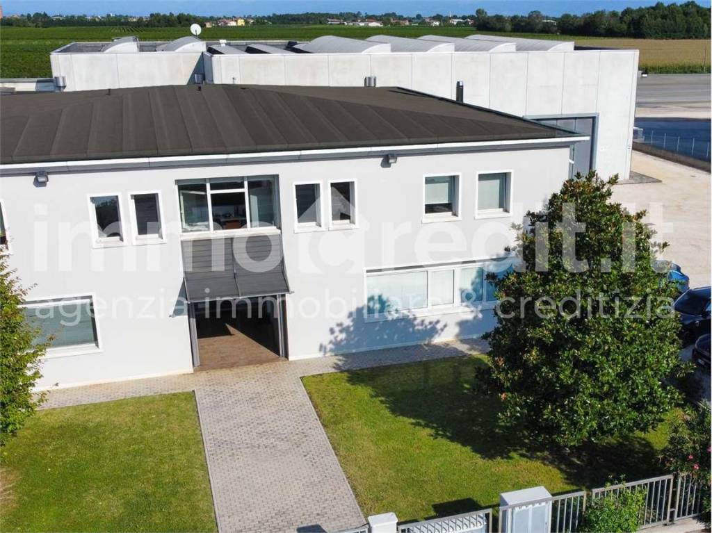 immagine annuncio 2 di 7