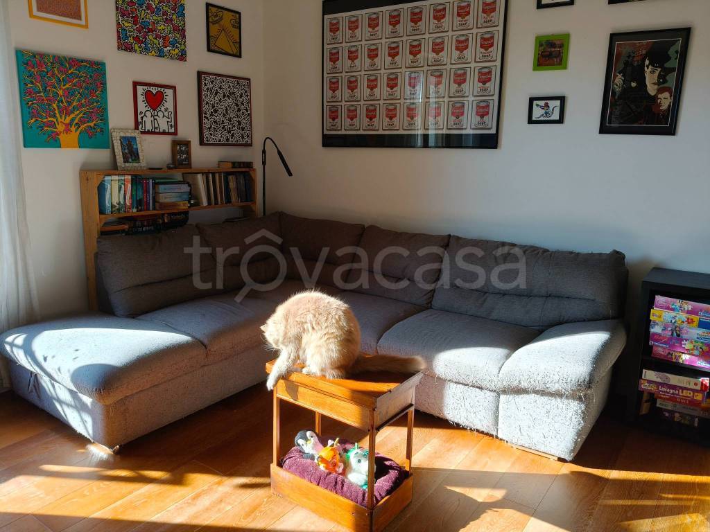 immagine annuncio 13 di 15