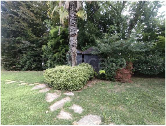 immagine annuncio 3 di 14