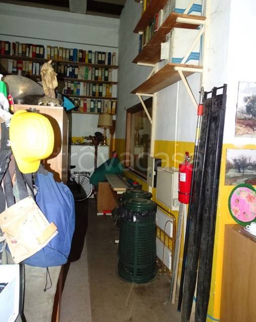 immagine annuncio 4 di 14