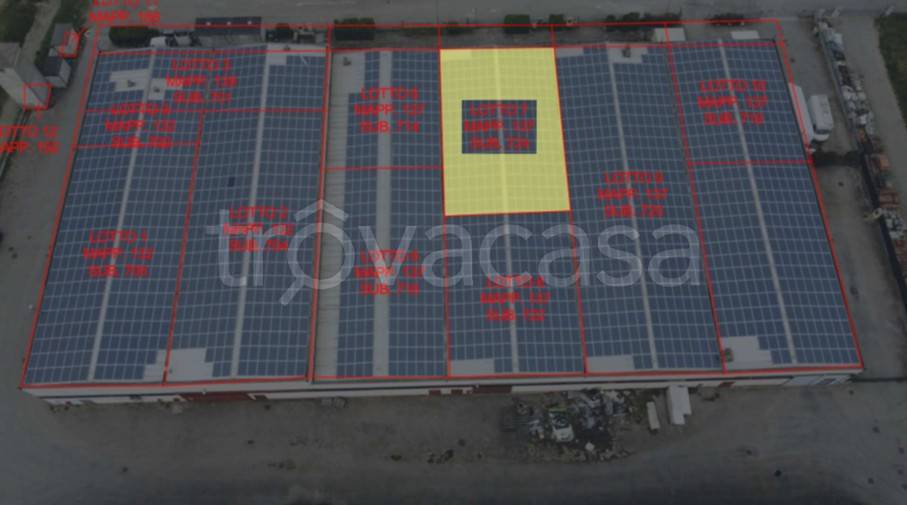 immagine annuncio 12 di 14