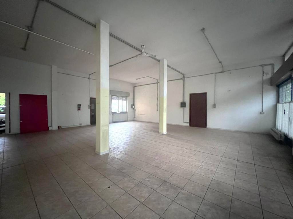 immagine annuncio 4 di 7