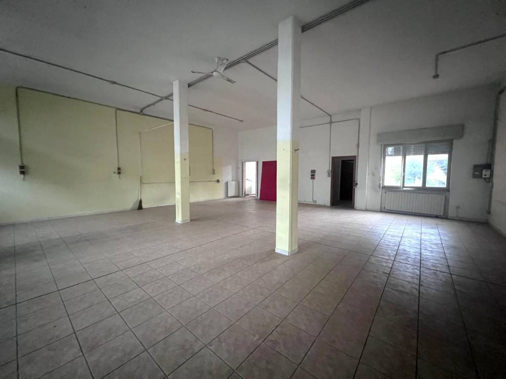 immagine annuncio 5 di 7