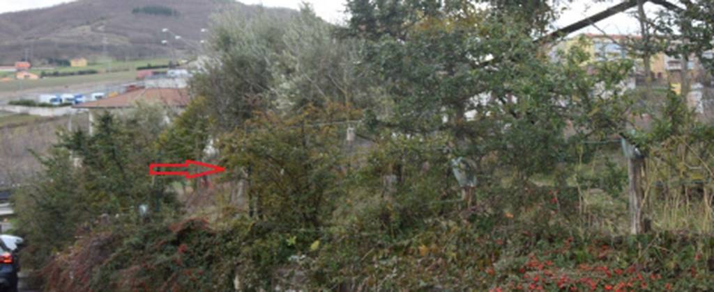 immagine annuncio 4 di 12