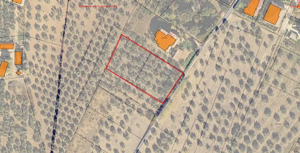 immagine annuncio 1 di 3