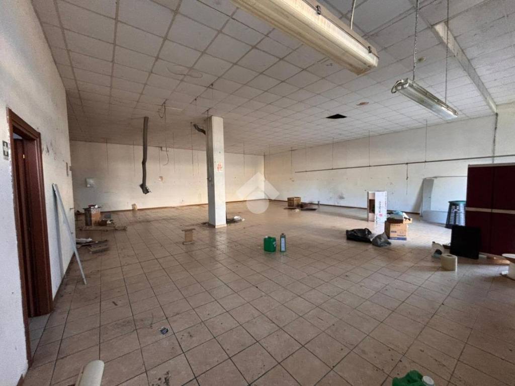 immagine annuncio 2 di 13