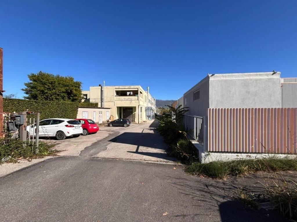 immagine annuncio 9 di 13