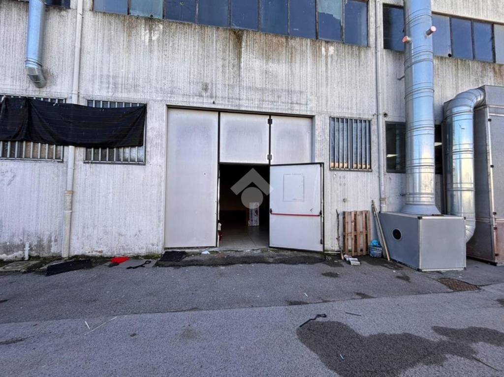 immagine annuncio 12 di 13