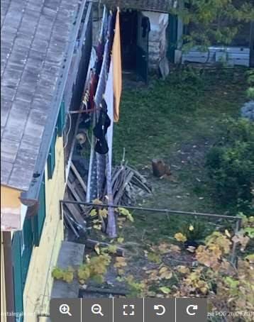 immagine annuncio 3 di 8