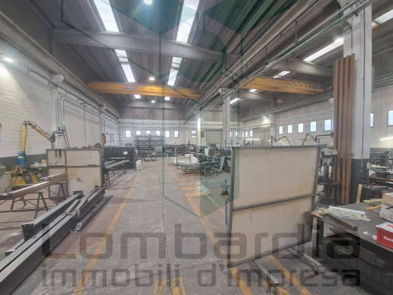 immagine annuncio 2 di 8