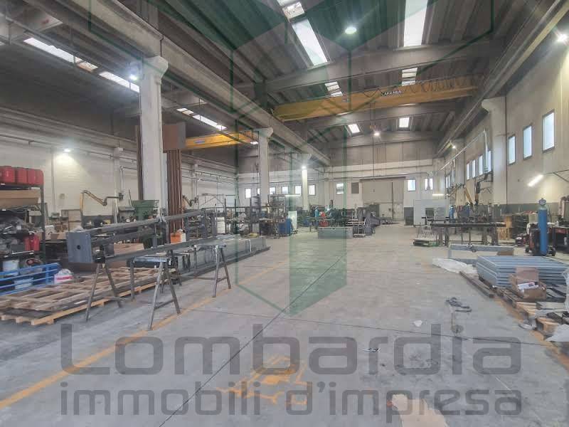 immagine annuncio 3 di 8