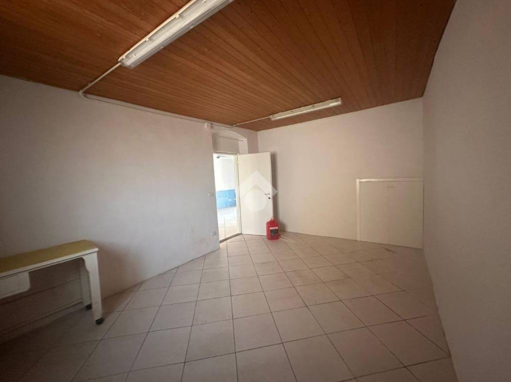 immagine annuncio 9 di 14