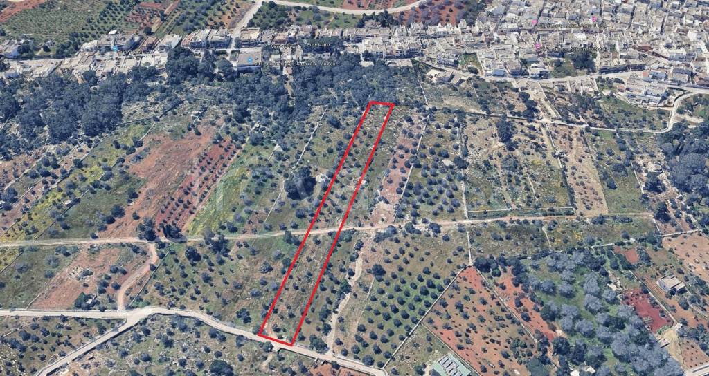 immagine annuncio 1 di 4