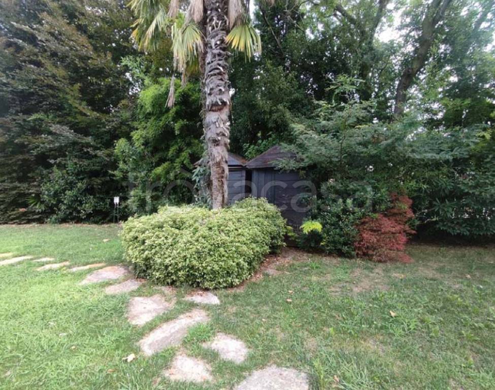 immagine annuncio 6 di 12