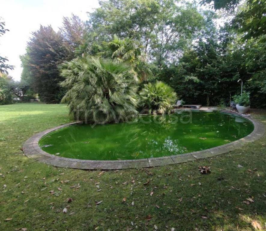 immagine annuncio 7 di 12