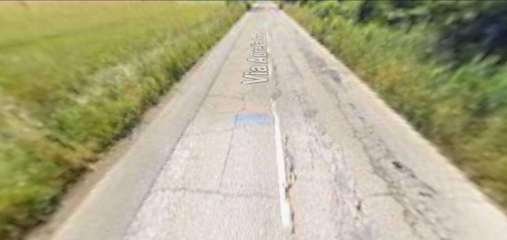 immagine annuncio 1 di 14