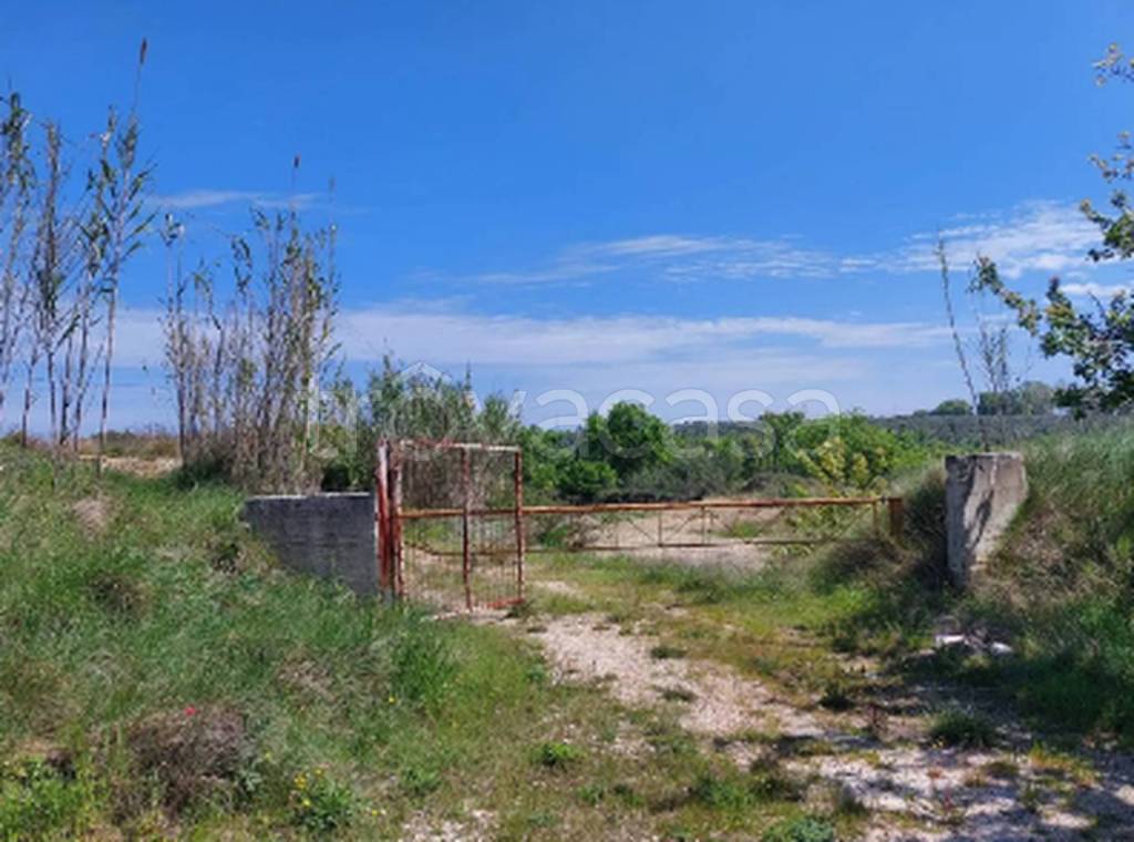 immagine annuncio 1 di 9