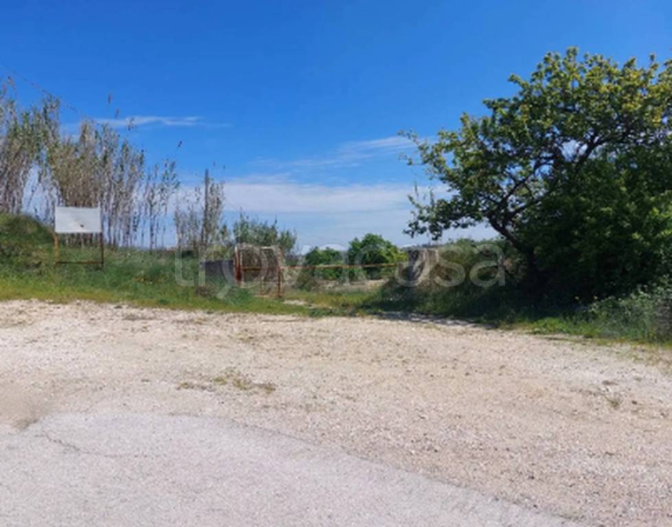 immagine annuncio 3 di 9