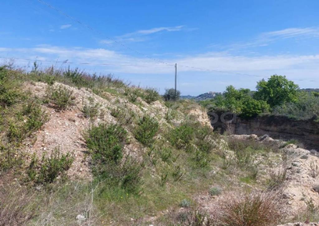 immagine annuncio 2 di 9