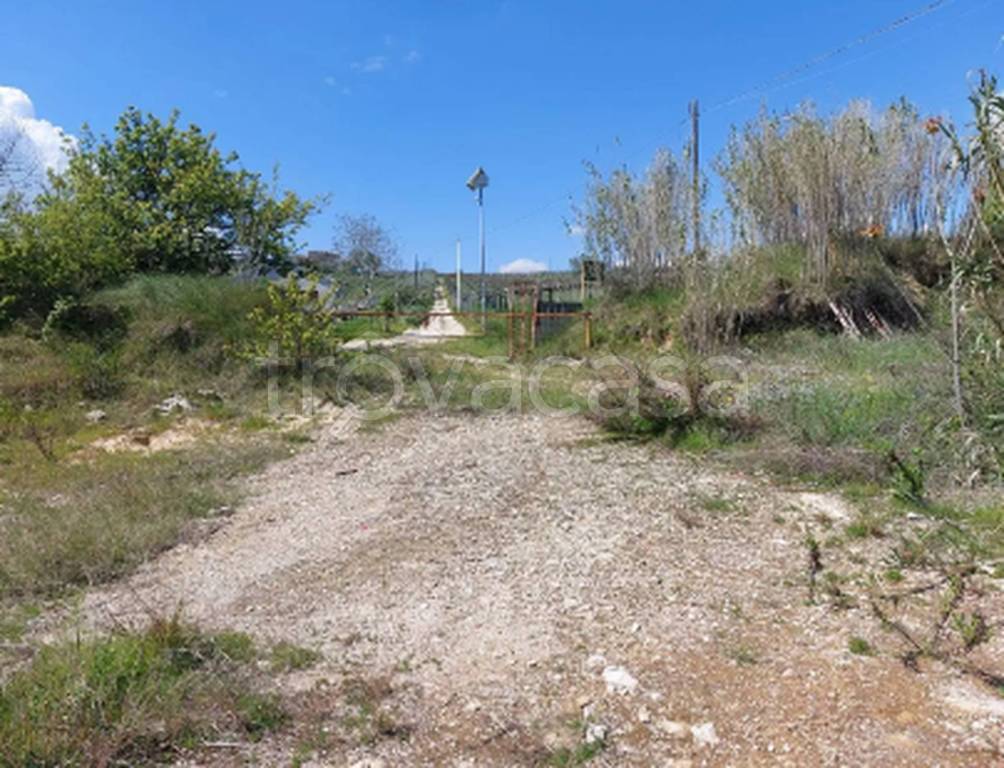 immagine annuncio 4 di 9