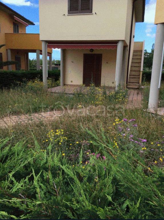 immagine annuncio 10 di 13