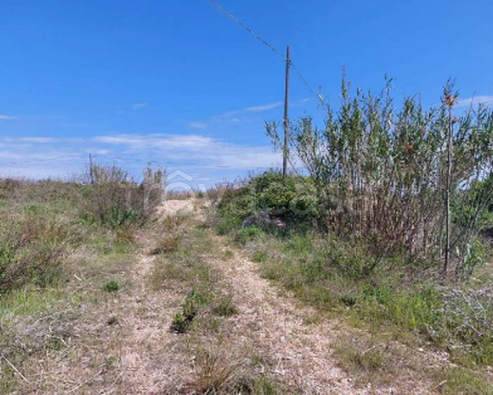 immagine annuncio 5 di 9